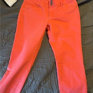 Vibrant Coral Pants
